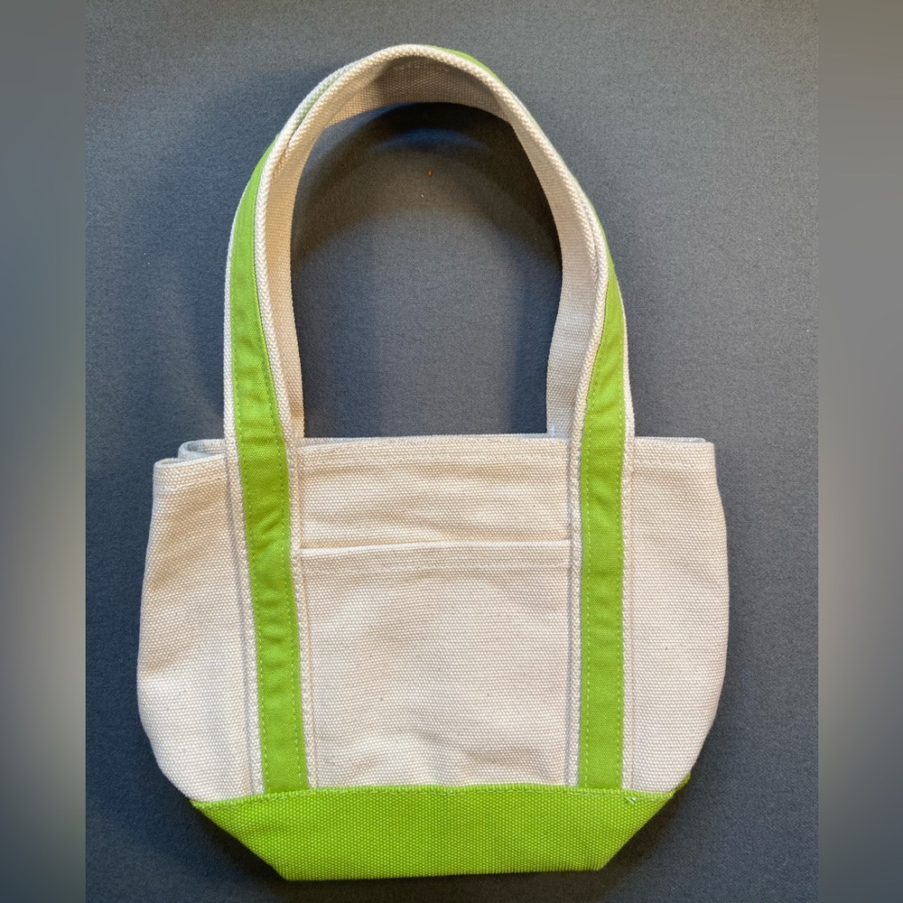 Stylish White and Green Mini Bag